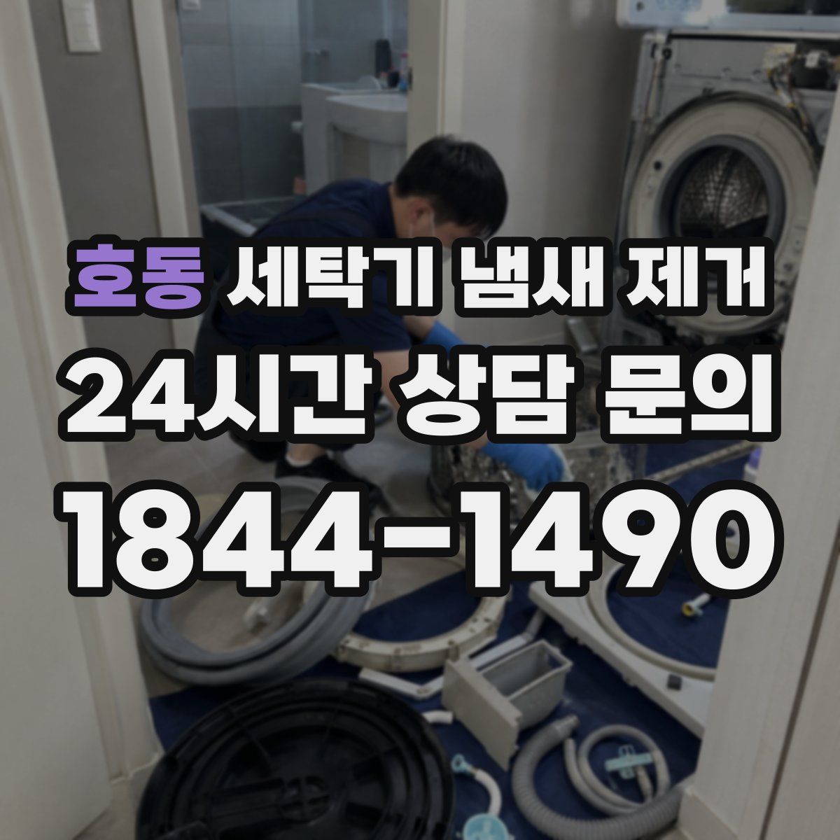 호동 세탁기 냄새 제거