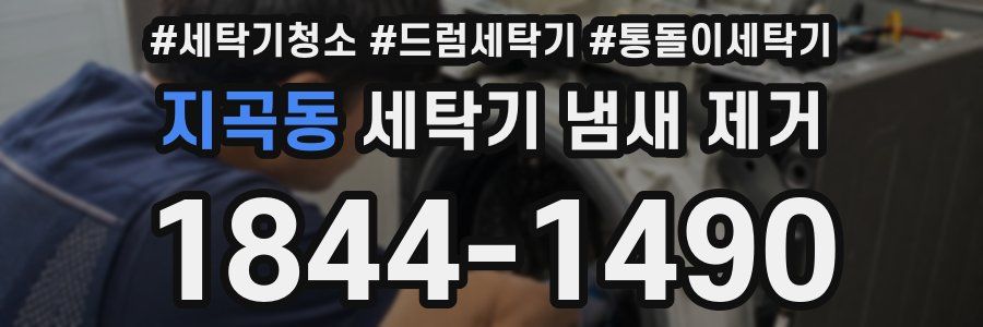 지곡동 세탁기 냄새 제거
