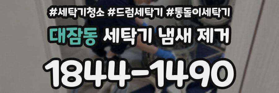 대잠동 세탁기 냄새 제거