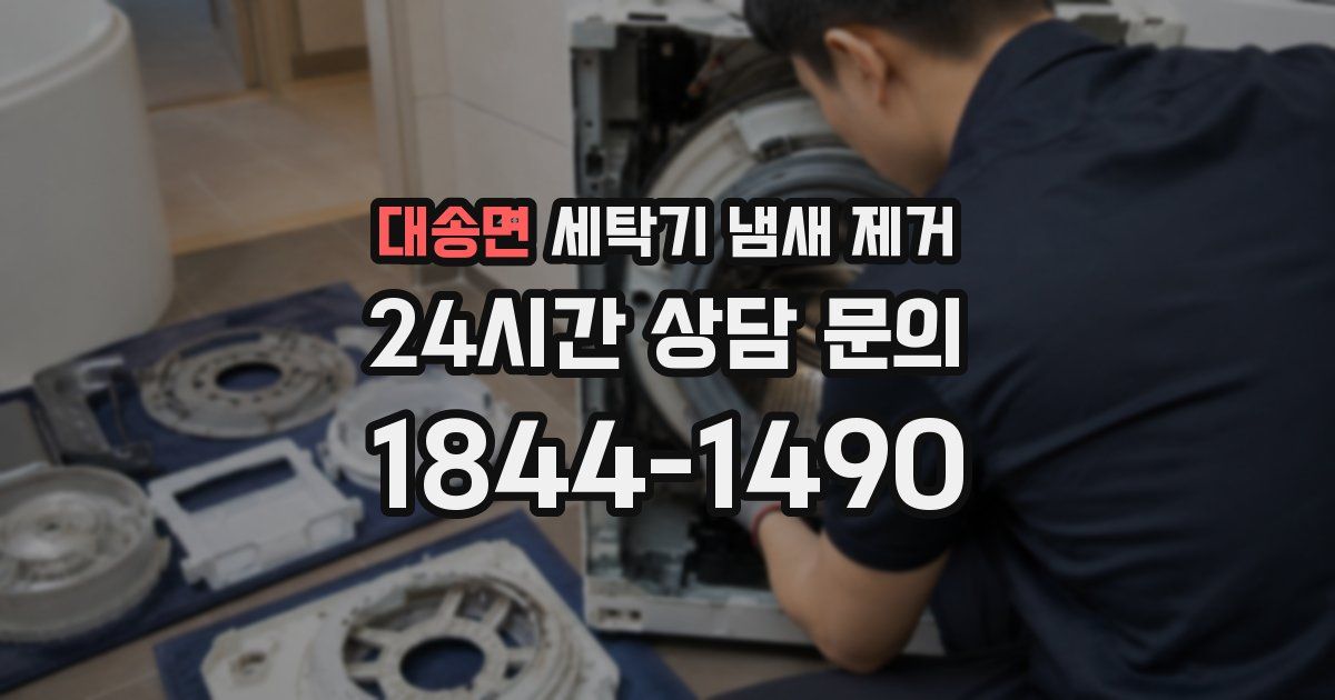대송면 세탁기 냄새 제거