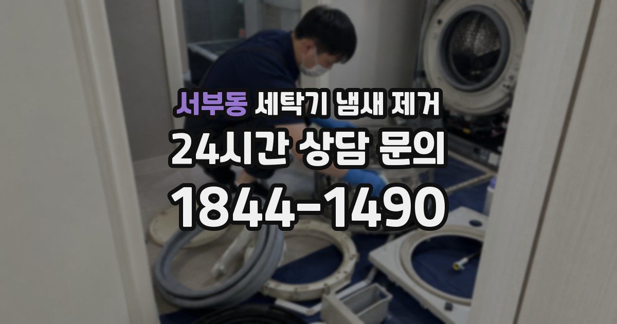 서부동 세탁기 냄새 제거