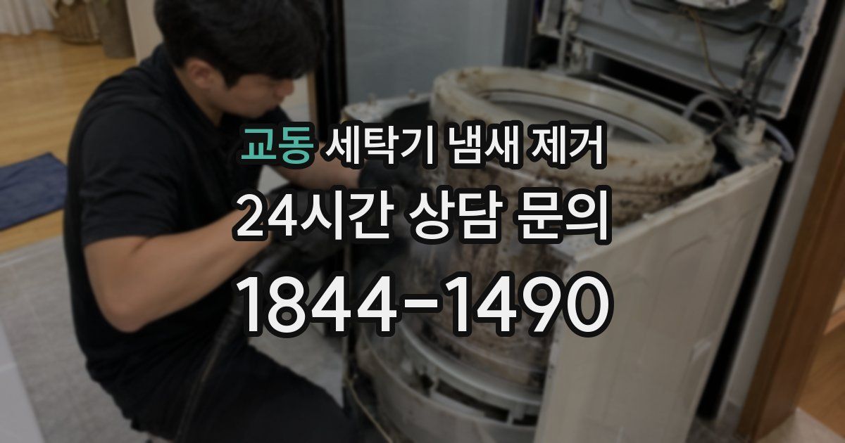 교동 세탁기 냄새 제거
