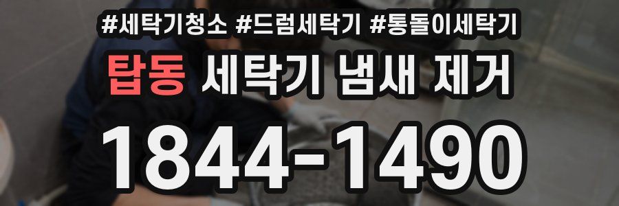 탑동 세탁기 냄새 제거