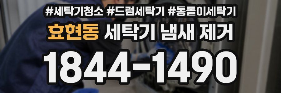 효현동 세탁기 냄새 제거