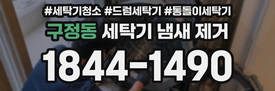 구정동 세탁기 냄새 제거