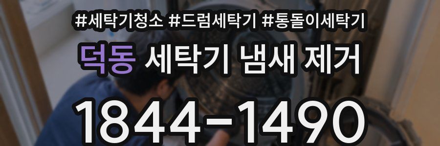 덕동 세탁기 냄새 제거