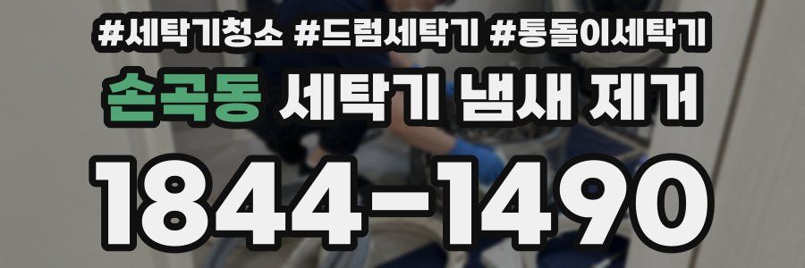 손곡동 세탁기 냄새 제거