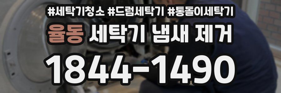율동 세탁기 냄새 제거