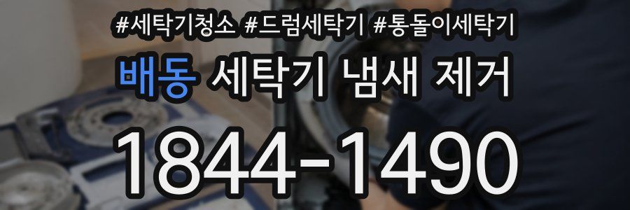 배동 세탁기 냄새 제거