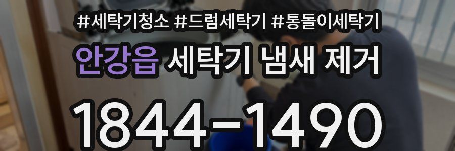 안강읍 세탁기 냄새 제거