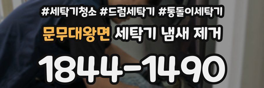 문무대왕면 세탁기 냄새 제거
