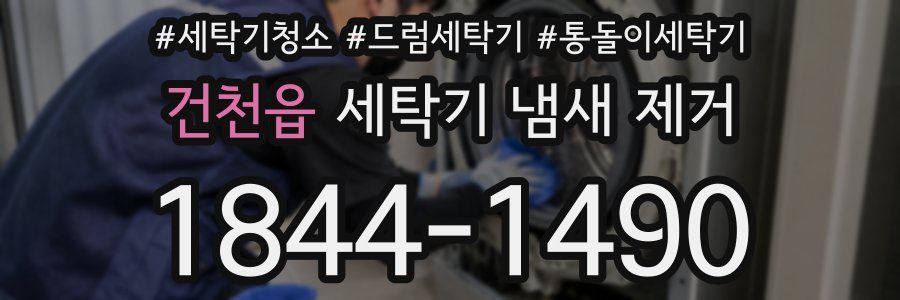 건천읍 세탁기 냄새 제거