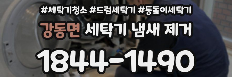 강동면 세탁기 냄새 제거