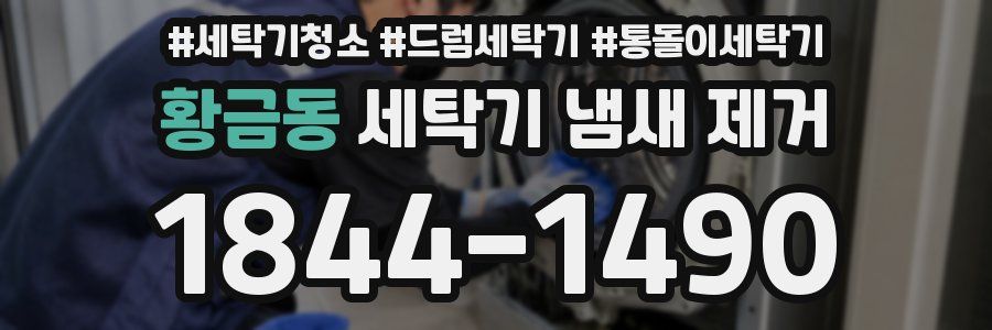 황금동 세탁기 냄새 제거