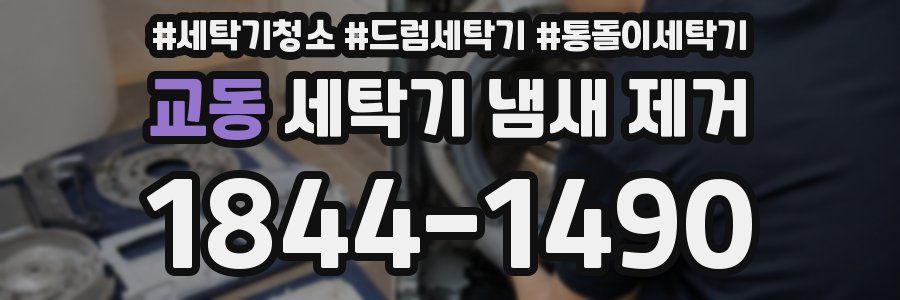 교동 세탁기 냄새 제거