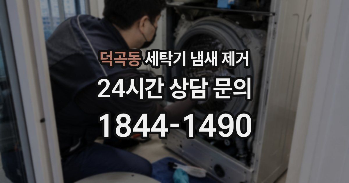 덕곡동 세탁기 냄새 제거