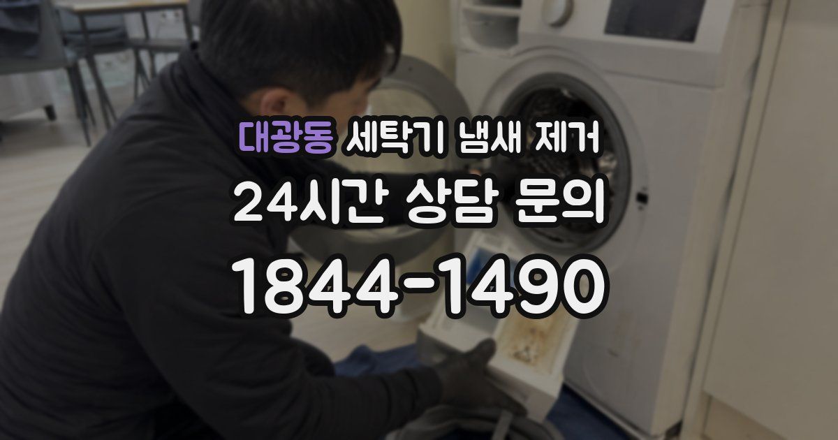 대광동 세탁기 냄새 제거