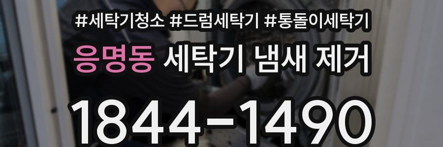 응명동 세탁기 냄새 제거