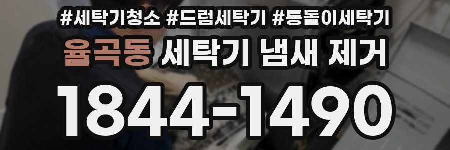 율곡동 세탁기 냄새 제거