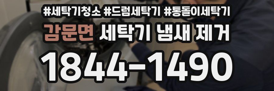 감문면 세탁기 냄새 제거