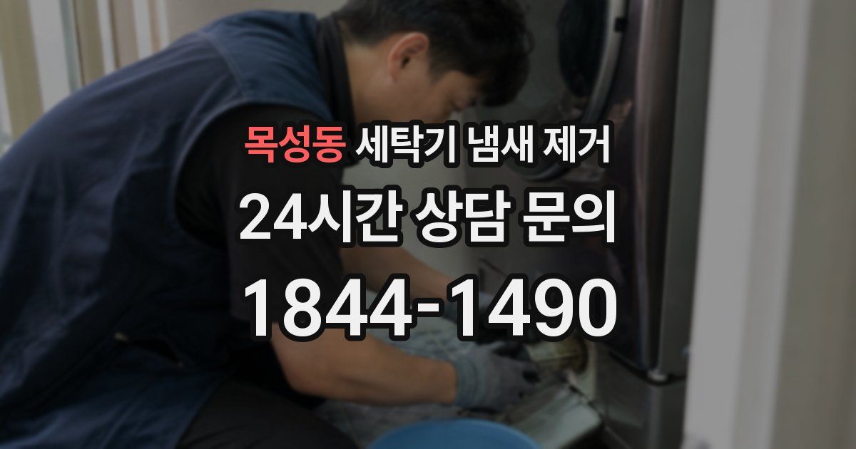 목성동 세탁기 냄새 제거