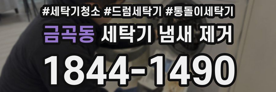 금곡동 세탁기 냄새 제거