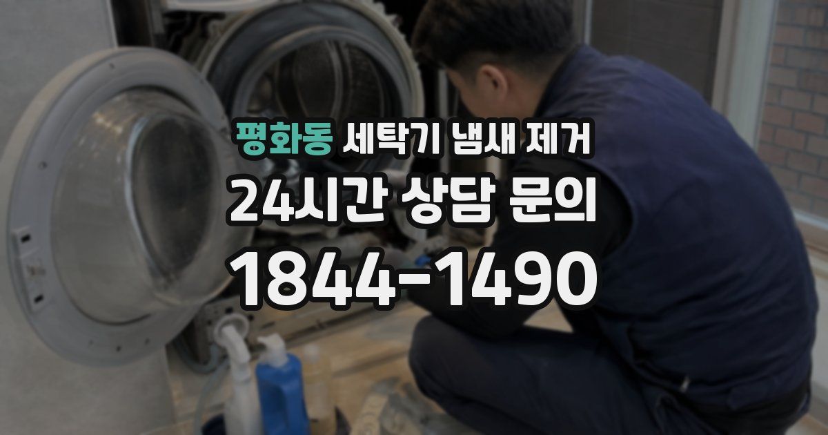 평화동 세탁기 냄새 제거