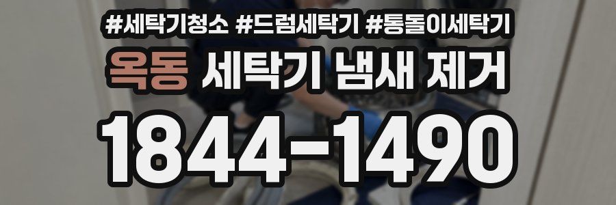 옥동 세탁기 냄새 제거
