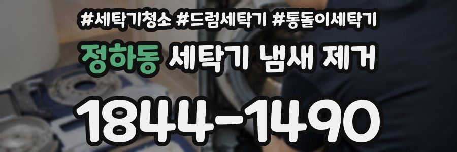 정하동 세탁기 냄새 제거