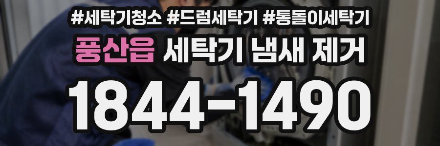 풍산읍 세탁기 냄새 제거