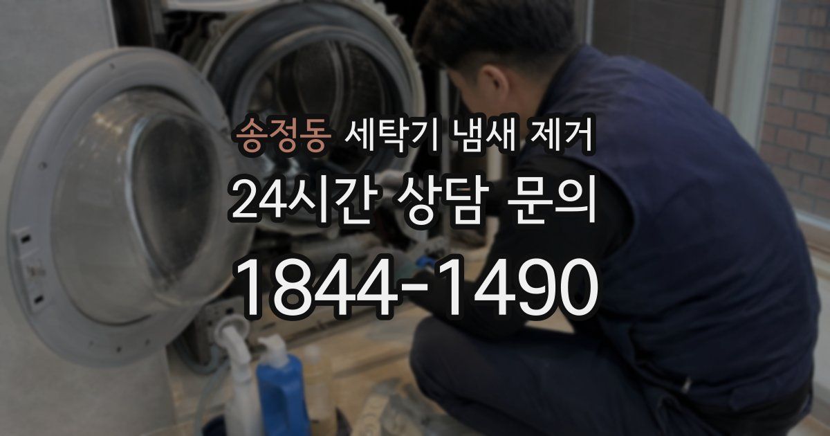송정동 세탁기 냄새 제거