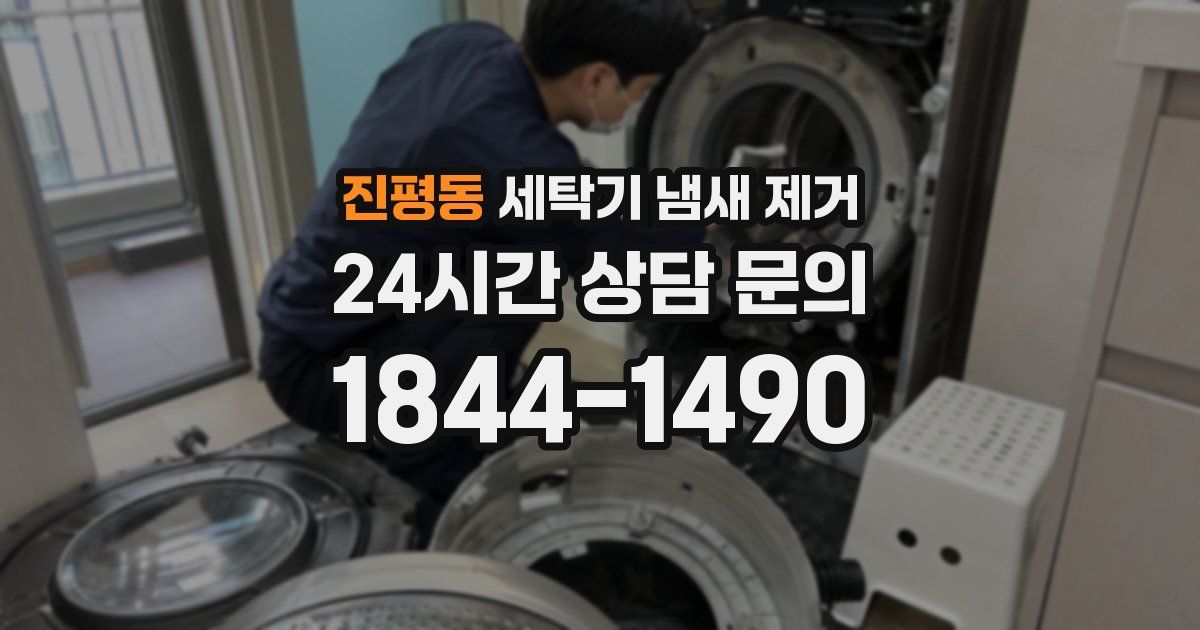 진평동 세탁기 냄새 제거