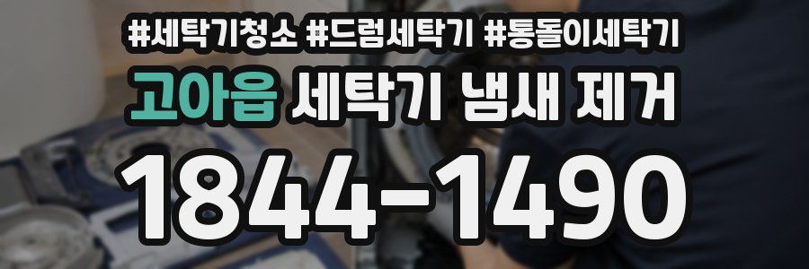 고아읍 세탁기 냄새 제거