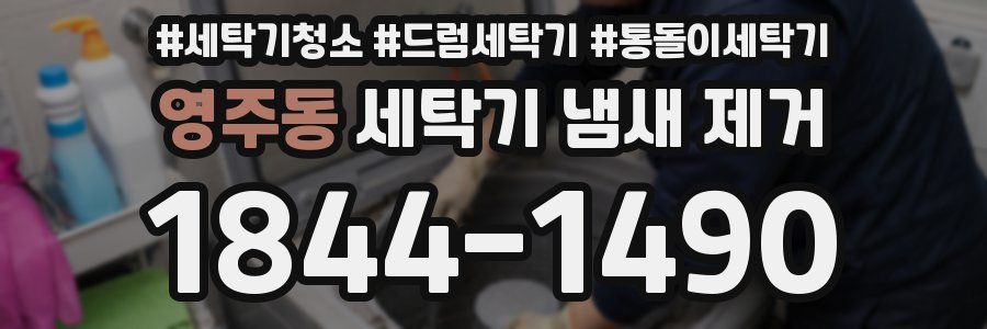영주동 세탁기 냄새 제거