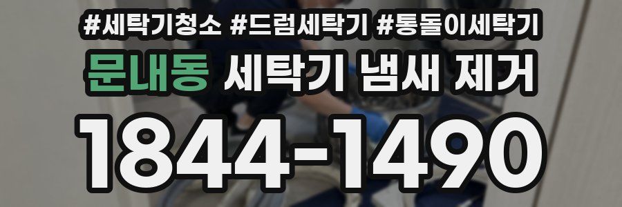문내동 세탁기 냄새 제거