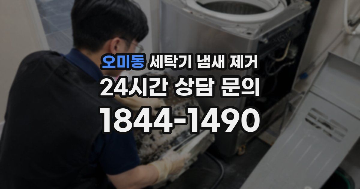오미동 세탁기 냄새 제거