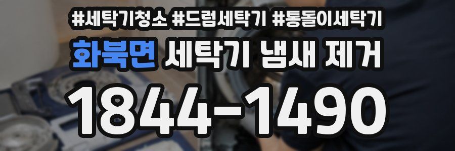 화북면 세탁기 냄새 제거