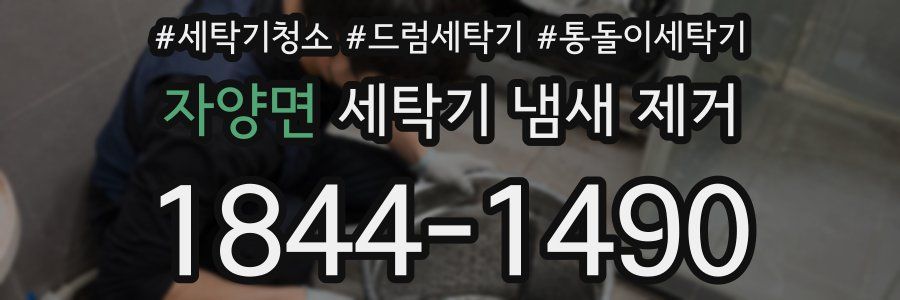 자양면 세탁기 냄새 제거