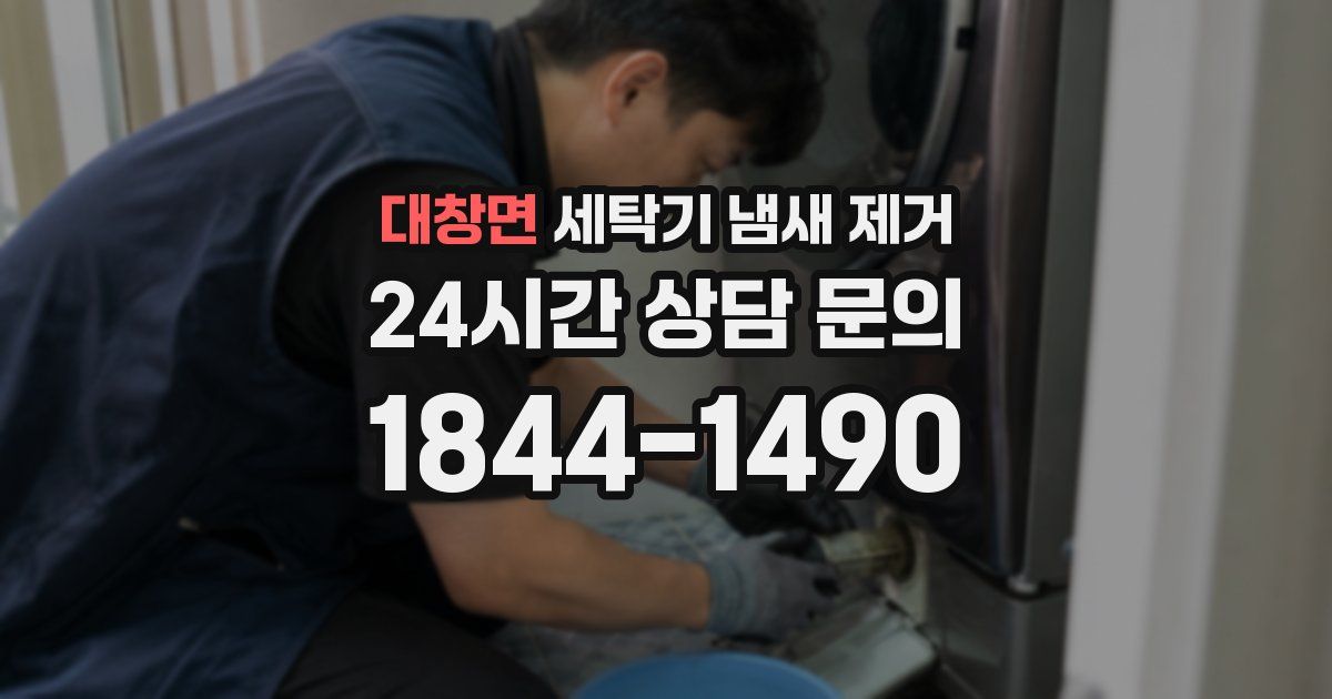 대창면 세탁기 냄새 제거