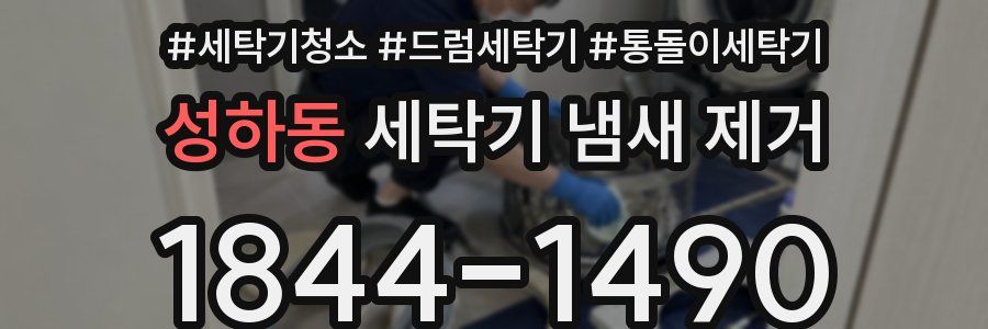성하동 세탁기 냄새 제거