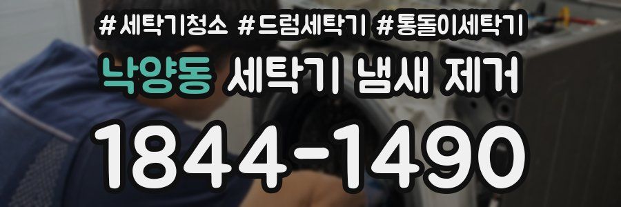 낙양동 세탁기 냄새 제거