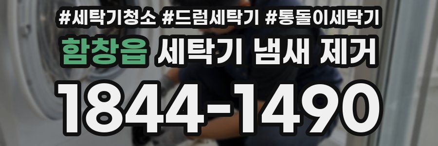 함창읍 세탁기 냄새 제거