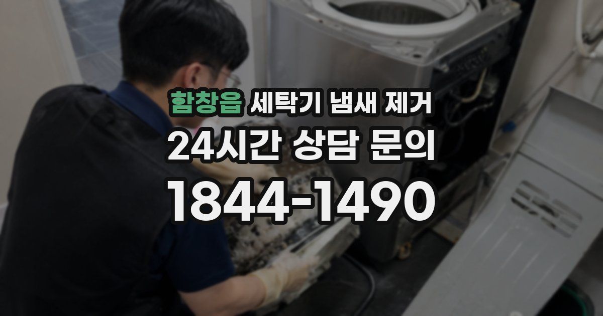 함창읍 세탁기 냄새 제거