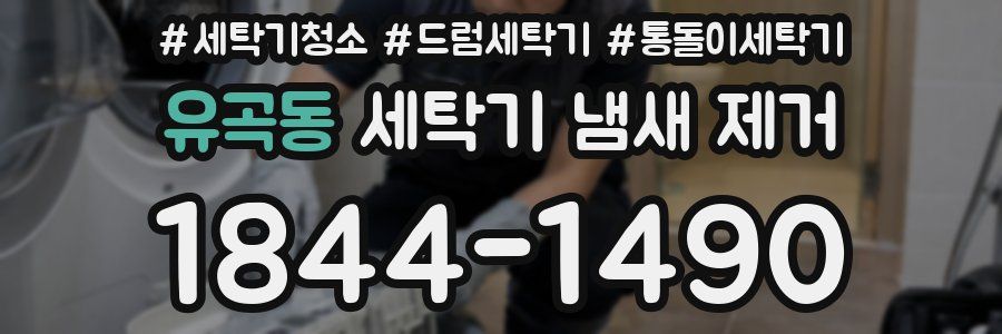 유곡동 세탁기 냄새 제거