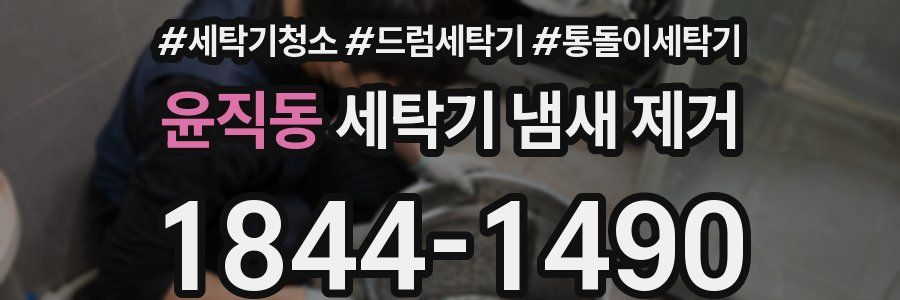 윤직동 세탁기 냄새 제거