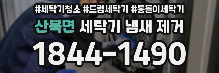 산북면 세탁기 냄새 제거