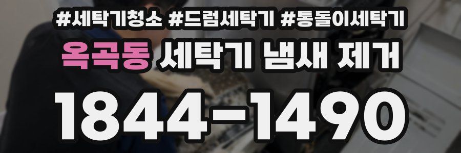 옥곡동 세탁기 냄새 제거