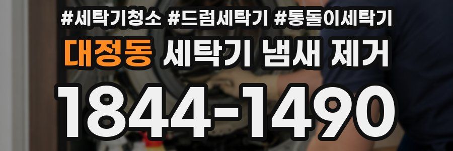 대정동 세탁기 냄새 제거