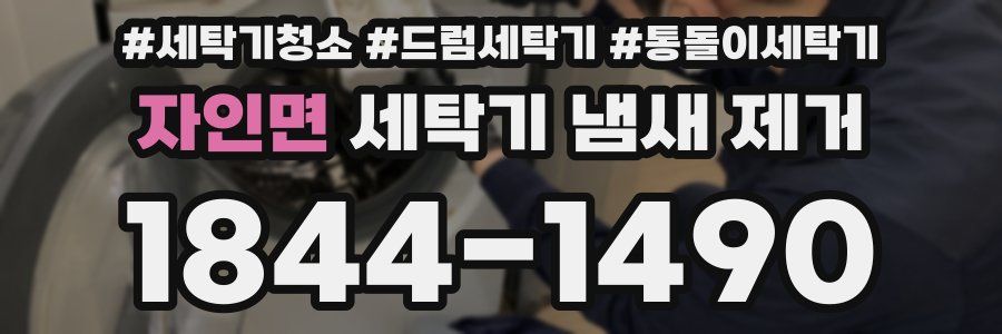 자인면 세탁기 냄새 제거