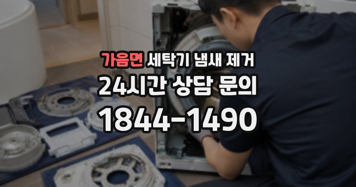 가음면 세탁기 냄새 제거